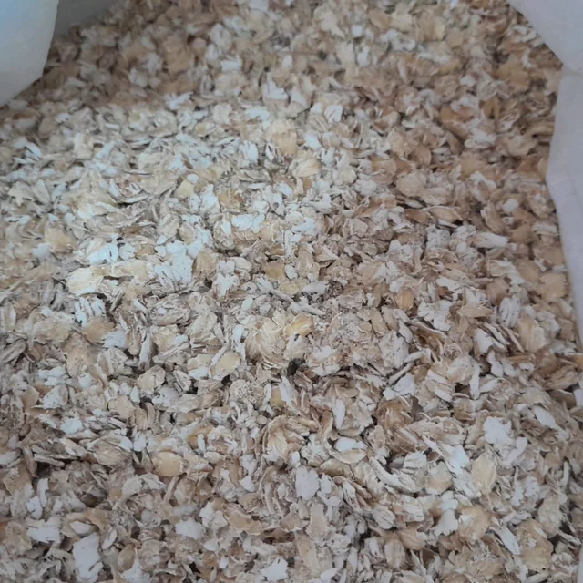 Avena a granel