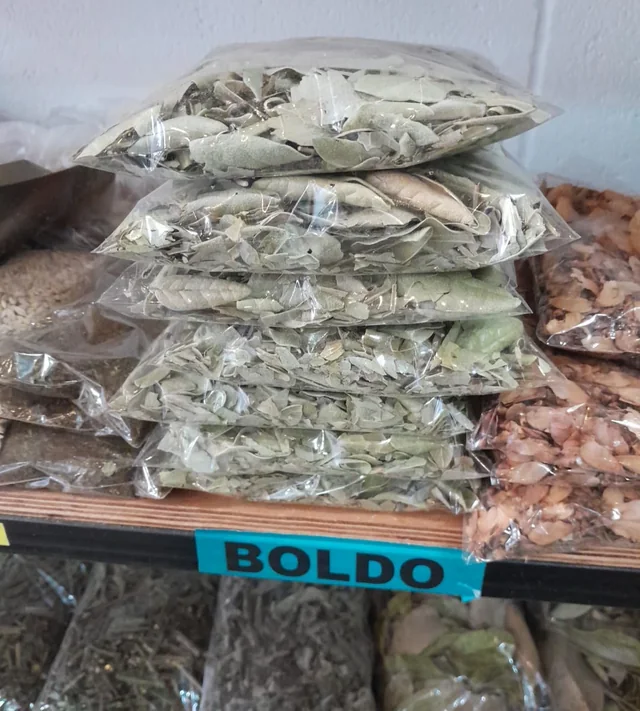 Bolsas de boldo en el estante del local