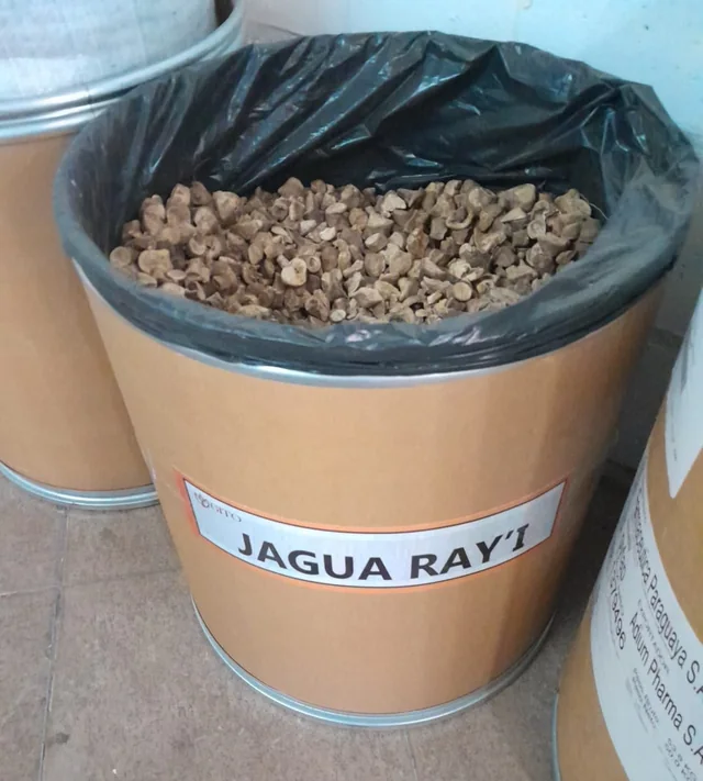 Tambor de jagua ra'y a granel